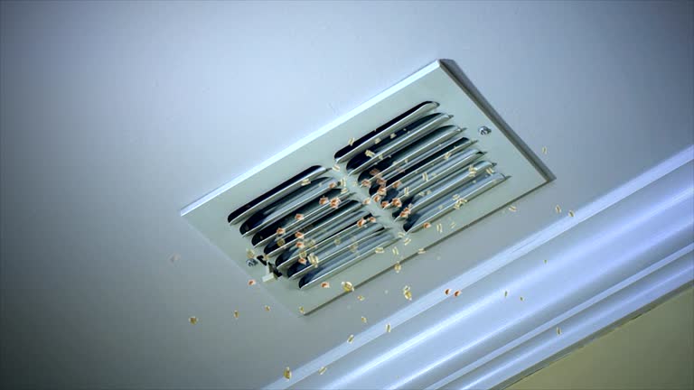 Best Best Air Duct Cleaning Company  in Chalco, NE