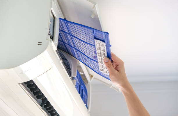 Best Air Duct Mold Removal  in Chalco, NE