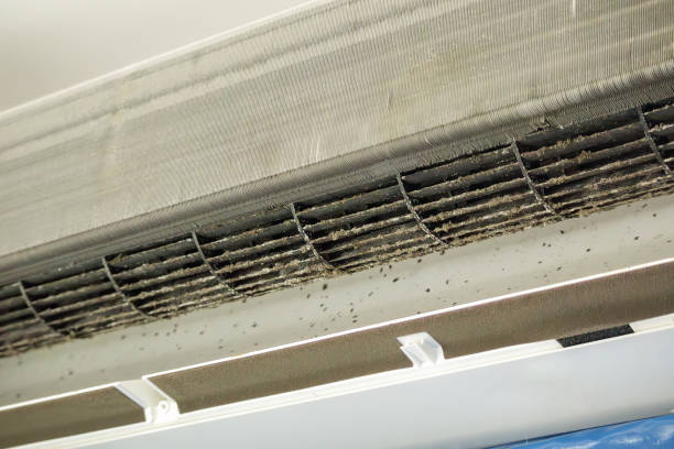 Best Ventilation Cleaning Services  in Chalco, NE