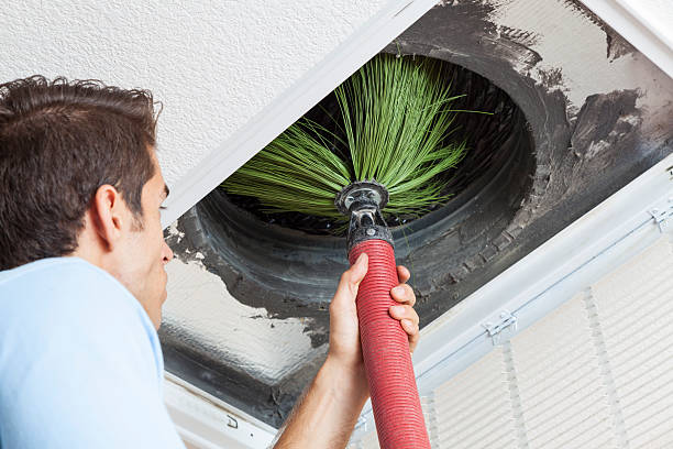 Best Affordable Air Duct Cleaning  in Chalco, NE